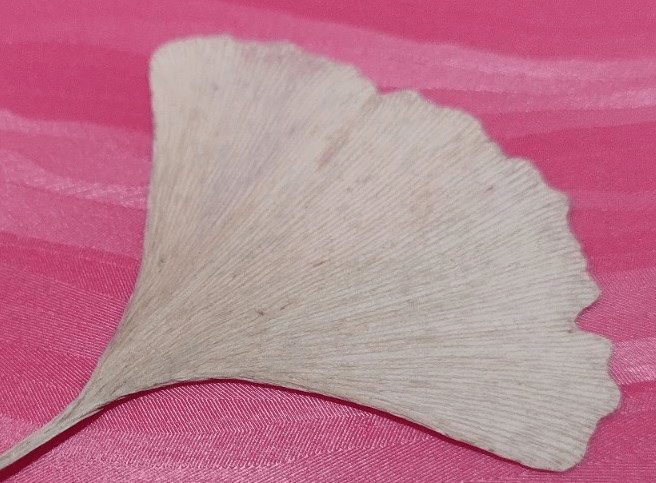 Dieses Bild hat ein leeres alt-Attribut; sein Dateiname ist image-1.png.